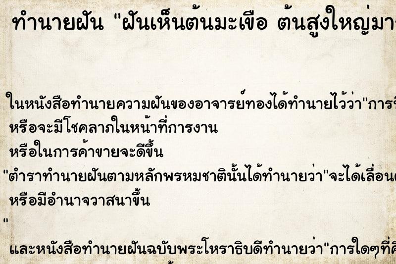 ทำนายฝันทำนายฝันฝันเห็นต้นมะเขือต้นสูงใหญ่มากคืน